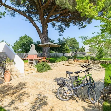 Casa Bizzarra * Ρόβινι