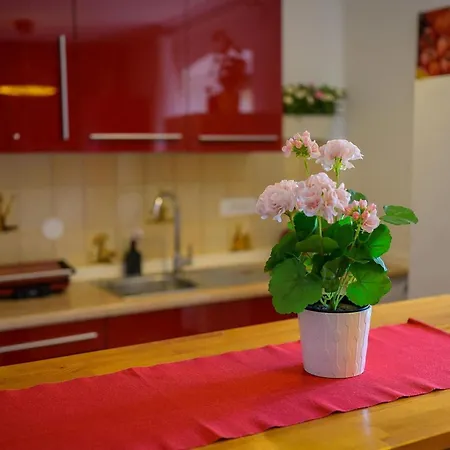 Casa Bizzarra Nyaraló *